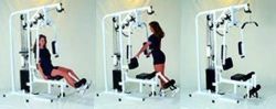 Pro Gym Exerciser
